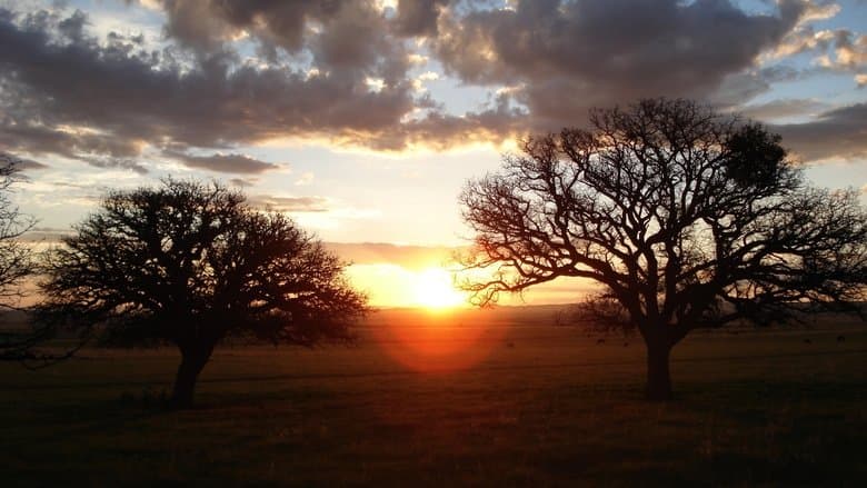 Silent Light image