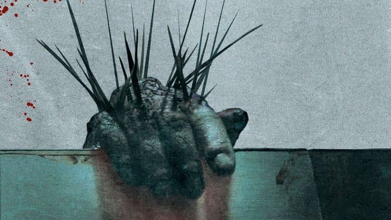 Splinter image