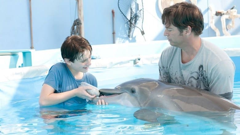 Dolphin Tale image