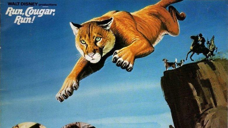 Run, Cougar, Run image