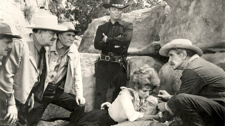 The Wild Westerners image