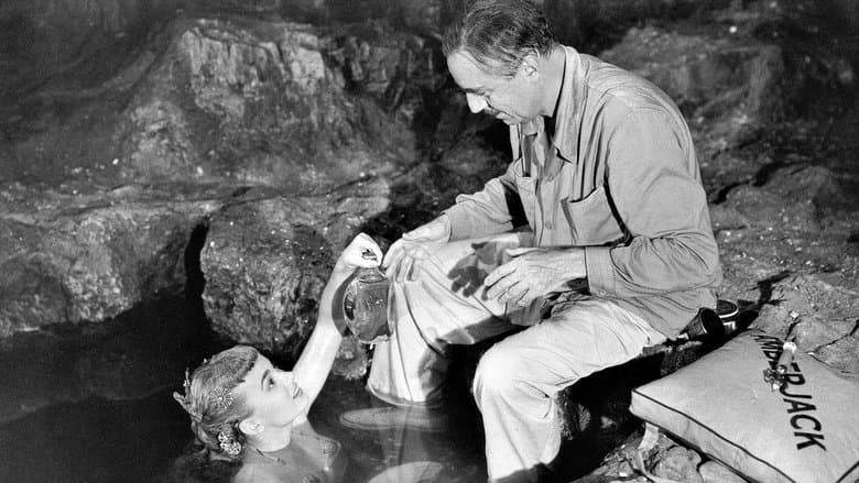Mr. Peabody and the Mermaid image