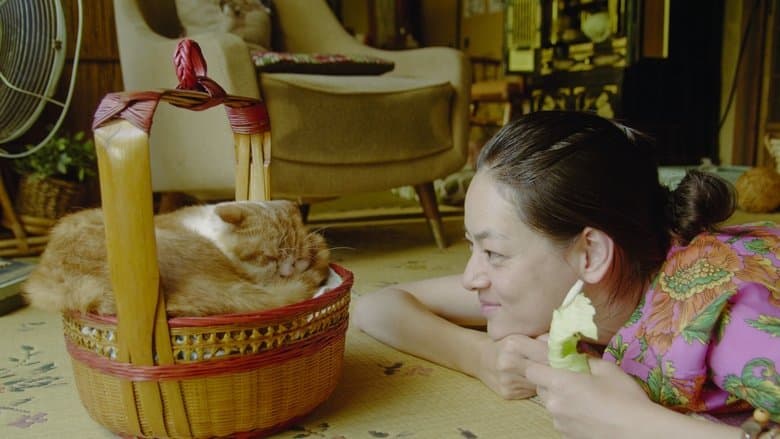 Rent-a-Cat image