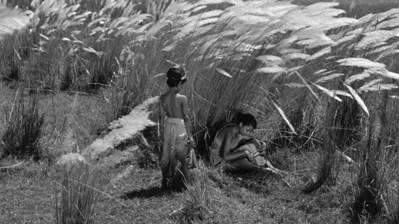 Pather Panchali image