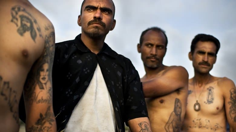 Narco Cultura image