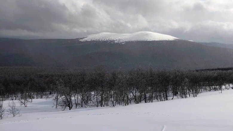 The Dyatlov Pass Incident image