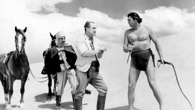 Tarzan's Desert Mystery image