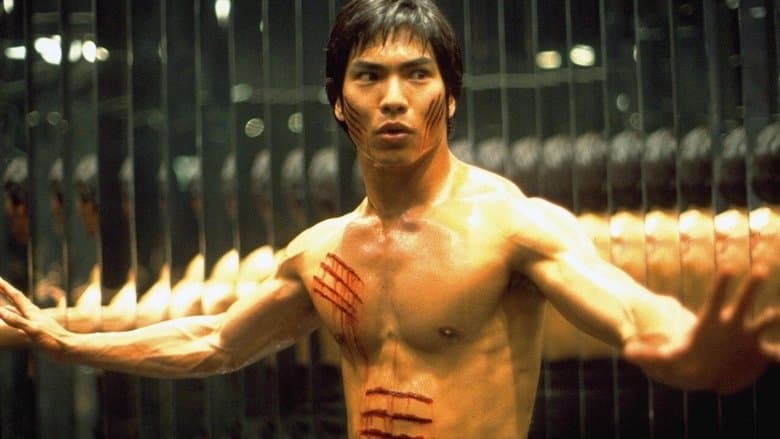 Dragon: The Bruce Lee Story image