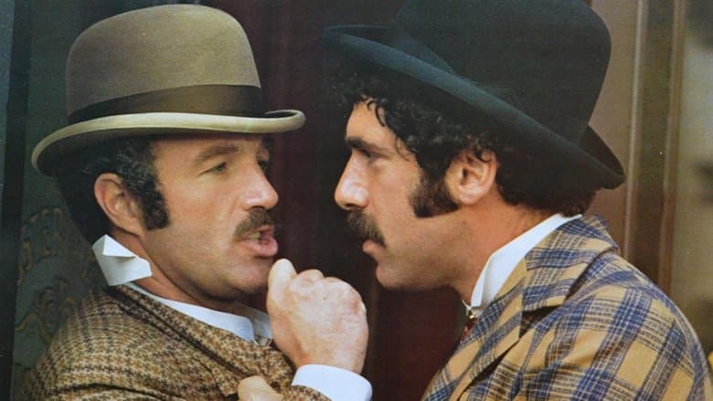 Harry and Walter Go to New York image