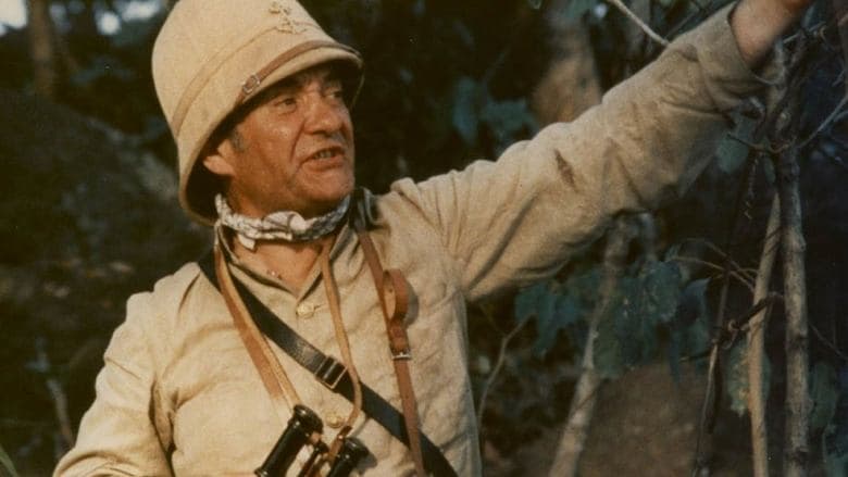 Black and White in Color image