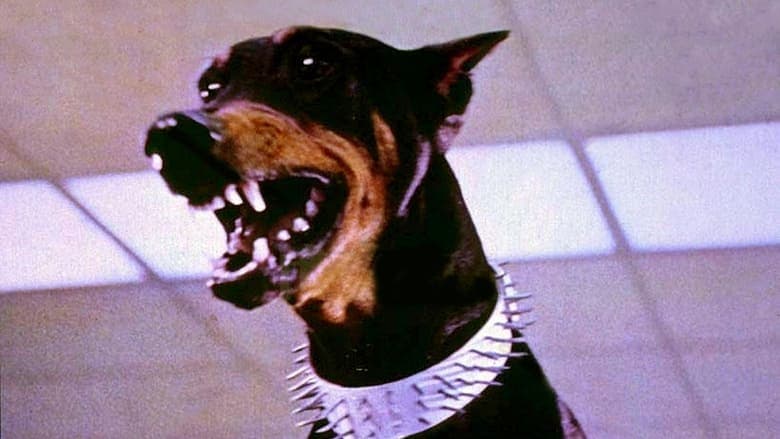 The Doberman Gang image