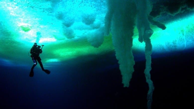Encounters at the End of the World image