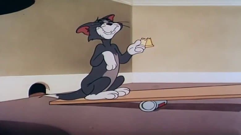 Shutter Bugged Cat image