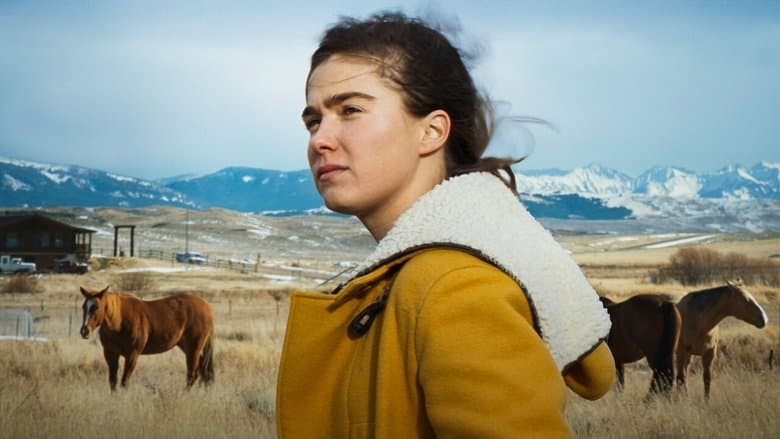 Montana Story image