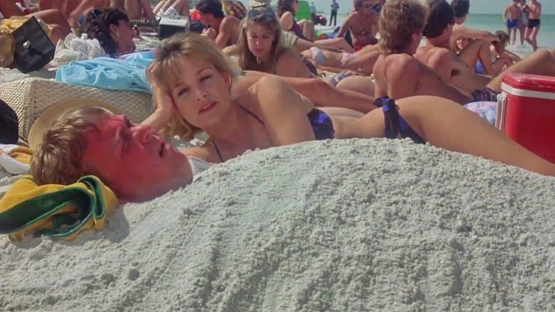 Summer Rental image