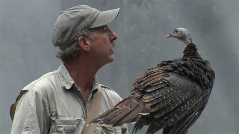 My Life as a Turkey image