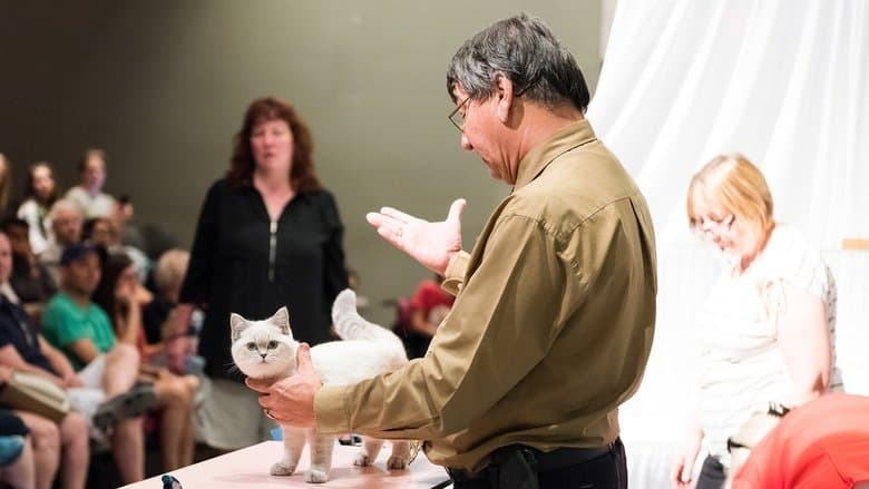 Catwalk: Tales from the Catshow Circuit image