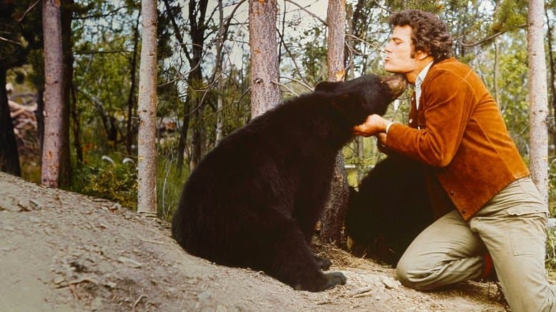 The Bears and I image