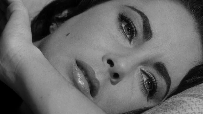 Suddenly, Last Summer image