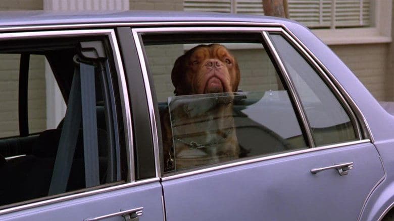 Turner & Hooch image