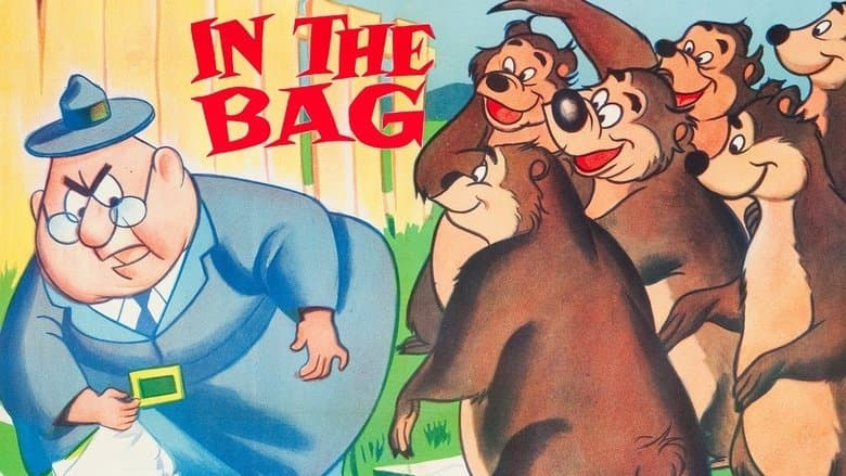 In the Bag image