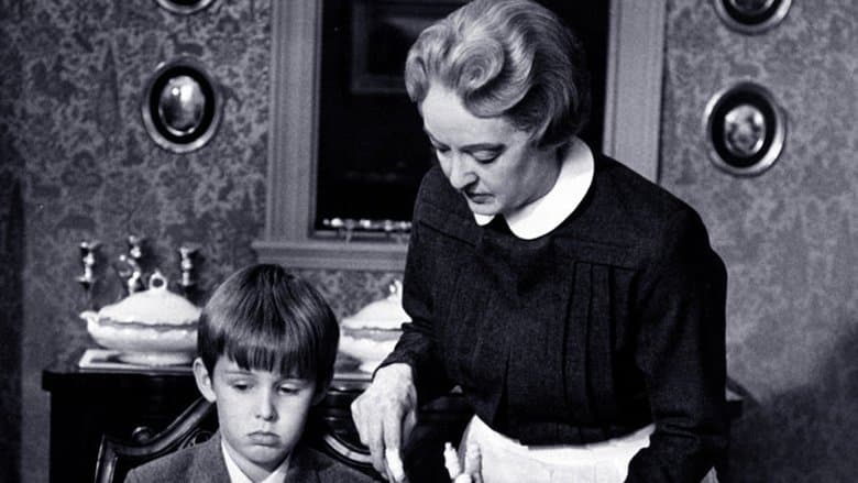 The Nanny image