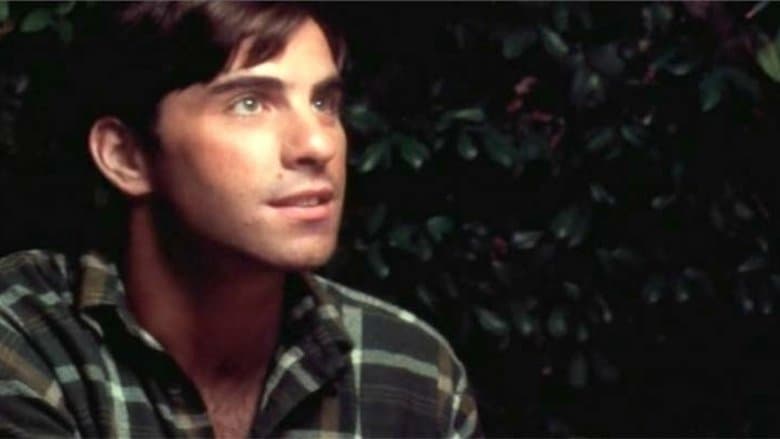 Green Plaid Shirt image