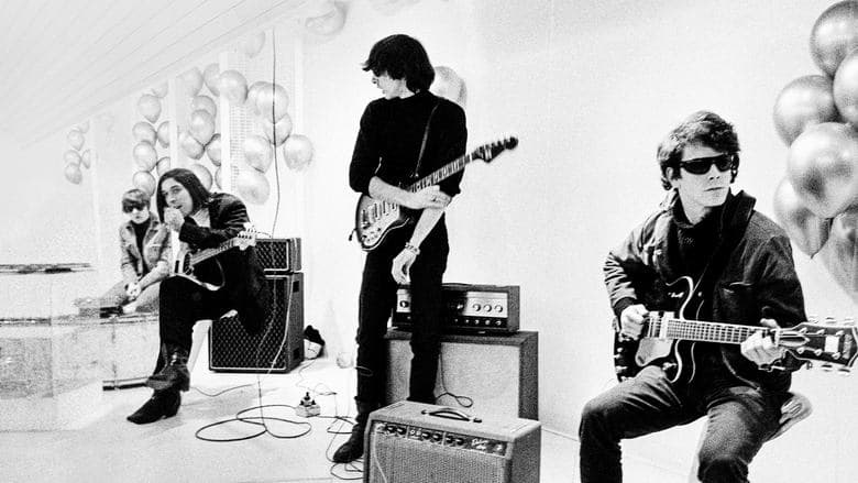 The Velvet Underground image