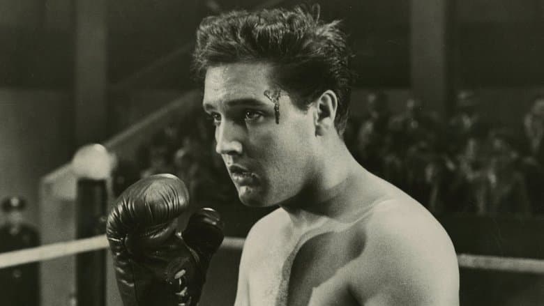 Kid Galahad image