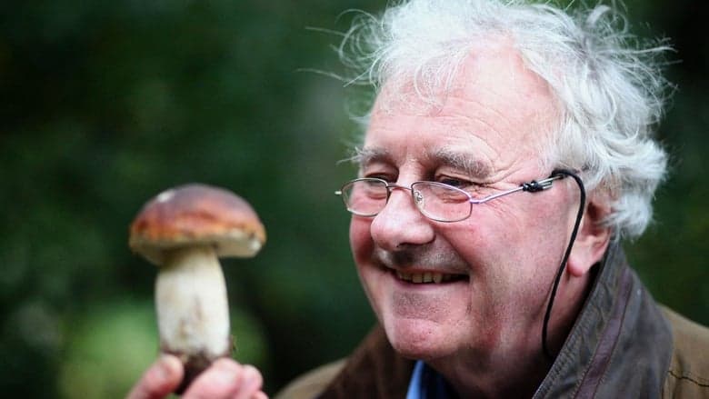 The Magic of Mushrooms image