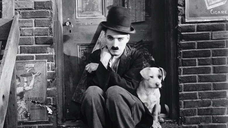 A Dog's Life image