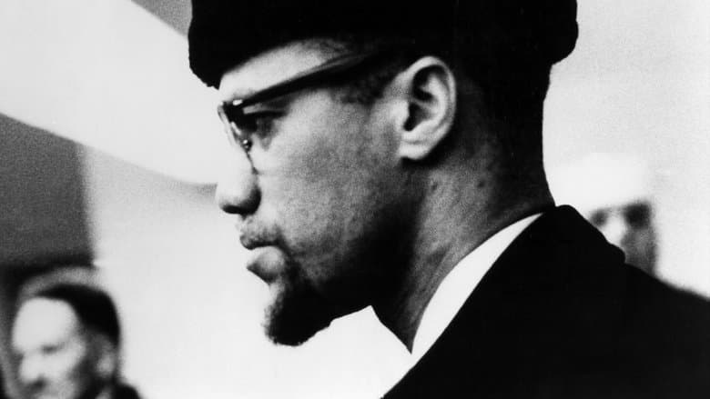 Malcolm X image