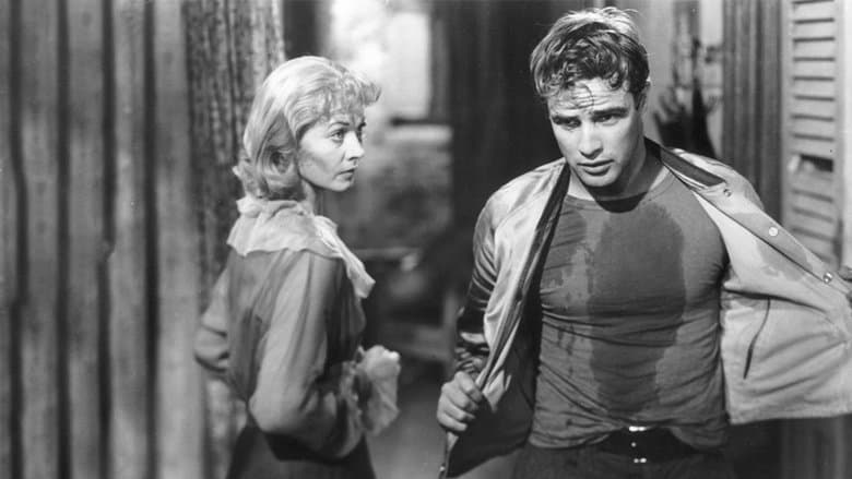 A Streetcar Named Desire image