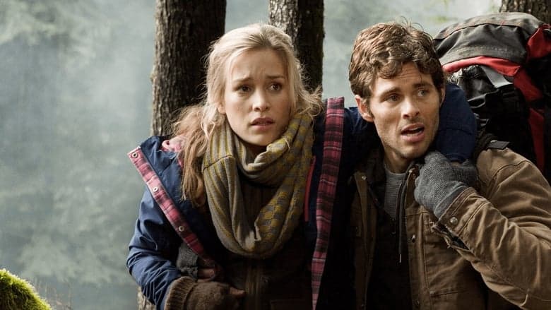 Into the Grizzly Maze image