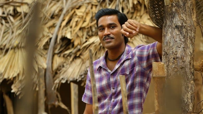 Asuran image