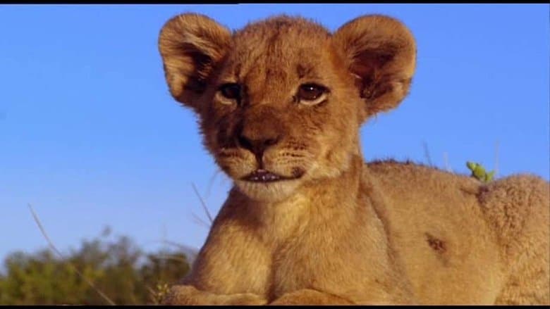 Pride image