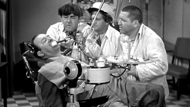 All the World's a Stooge image