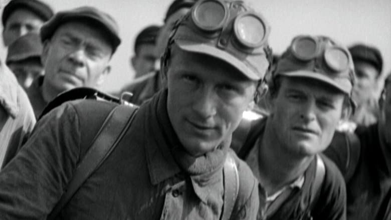 Comradeship image