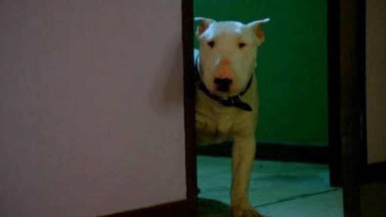 Baxter image