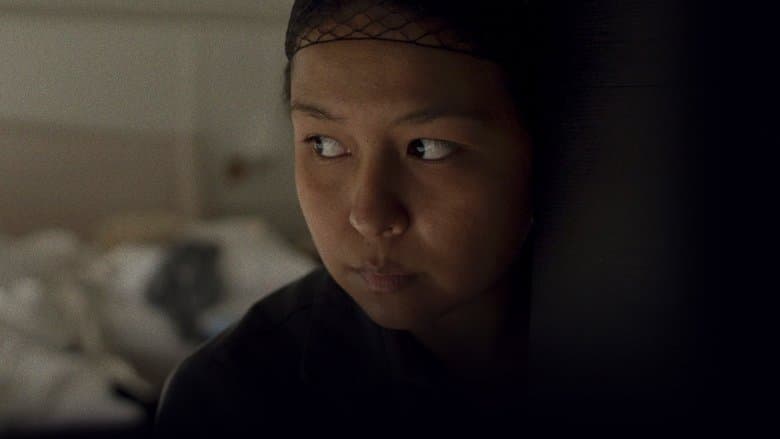 The Chambermaid image