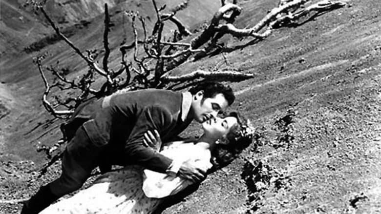 Wuthering Heights image