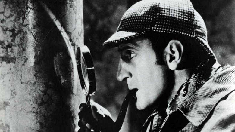 The Hound of the Baskervilles image