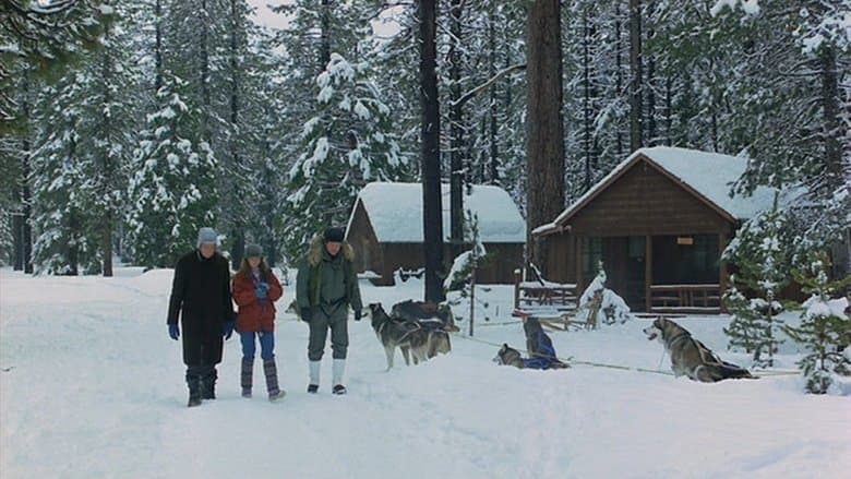 The Survivors image
