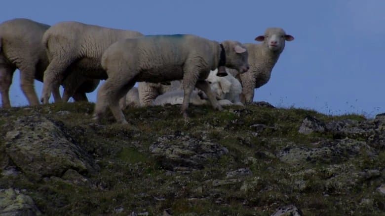 Engadin: Switzerland's Wilderness image