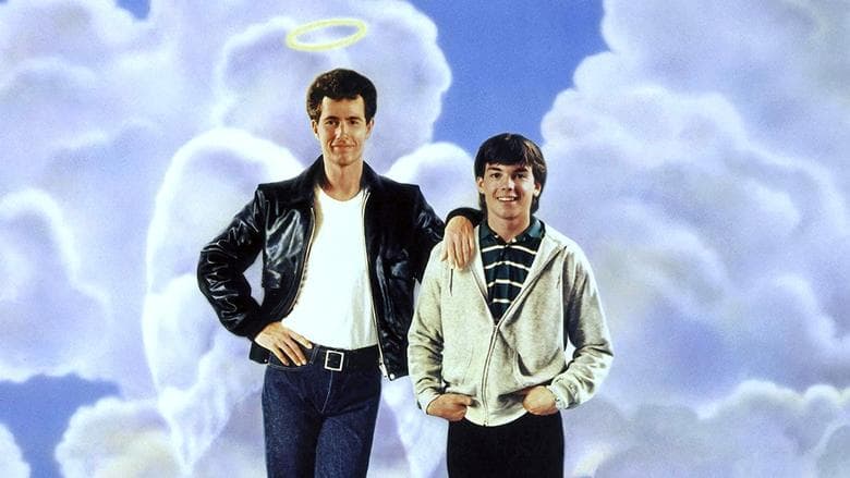 The Heavenly Kid image