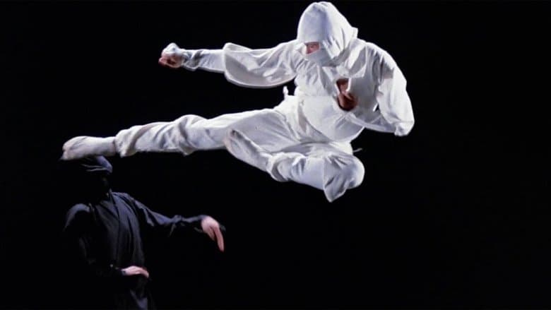 Enter the Ninja image