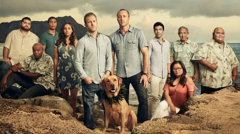 Hawaii Five-0 image