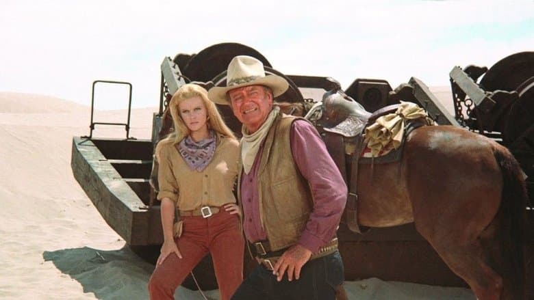The Train Robbers image