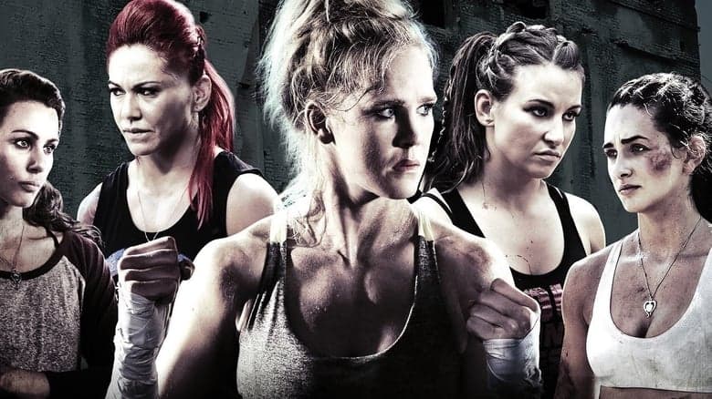 Fight Valley image