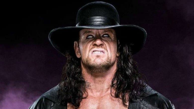 WWE: Undertaker 15-0 image